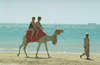 Creative Mexicana Sharm Resort 